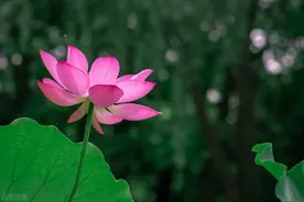 人老了，最好的活法是：减少依赖，降低期待图片