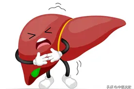 肝越堵病越多，3个中成药，打通痰湿瘀堵，赶走脂肪肝，肝囊肿图片