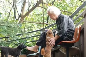 泪目，82岁倔老头独自坚守动物园33年，只因为女儿一句遗言图片