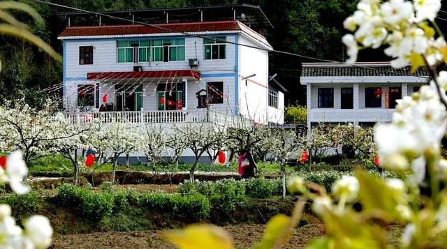 四川省民生研究会新媒体中心-官网