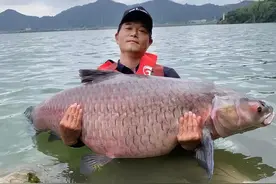 钓鱼圈四大网红图片