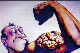 脑袋的大小与智力有关吗？脑袋大并不等于智力高图片