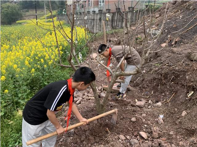 四川省民生研究会新媒体中心-官网