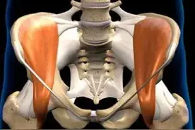 站桩如何开胯？懂得了开胯的原理，感受都不一样了图片