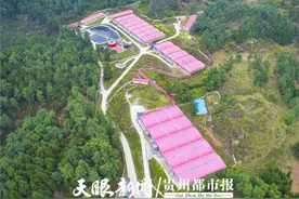 零突破！贵阳有了国家级生猪核心育种场图片