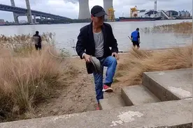 黄浦江黑鱼泛滥？闵浦大桥附近黑鱼乱窜，捞鱼的大爷：都是念经鱼图片