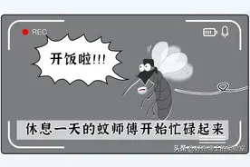 关灯后，蚊子为啥能精准找到你的头？图片