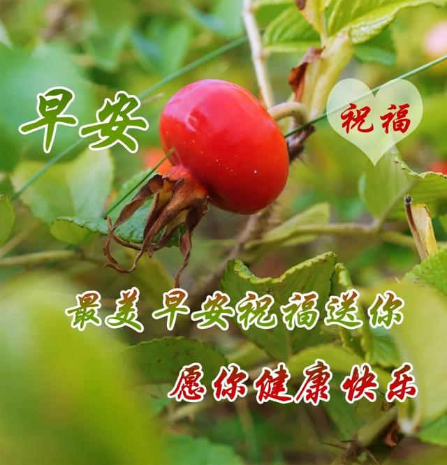 2023年早安心语正能量,不抱怨,不惆怅, 身上永远充满正能量!