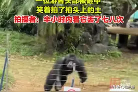 笑麻了！广西网红丢那猩砸中游客又上热搜，网友：幸好不是猿粪图片