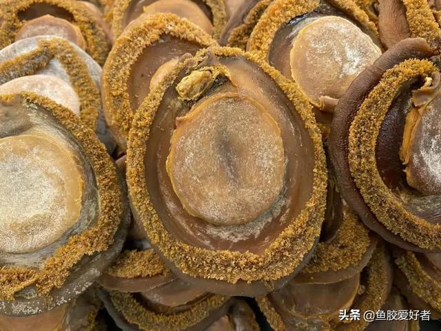 棉线花胶是什么鱼 英语四级没过考研英语能考多少分 棉线花胶是什么鱼 英语四级没过考研英语能考多少分