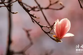 结婚前，要打听清楚对方家庭的3件事，这不是心机，而是远见图片