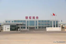 汽车低压电池龙头，骆驼股份：后装市场与海外市场打开成长空间图片