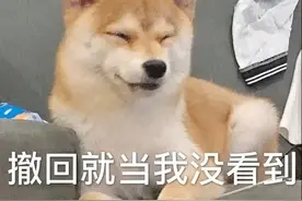 可爱表情包 | 撤回我就当没看见图片