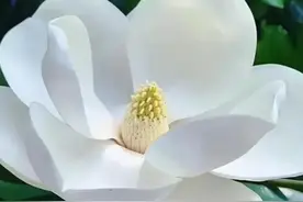 知恩、懂恩、感恩，才是做人的根本图片