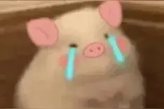 一些可爱哭泣表情包图片