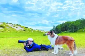 “宠物经济”催生市场新赛道：驯犬服务3000元-12000元不等，旅拍套餐最高上万元~图片