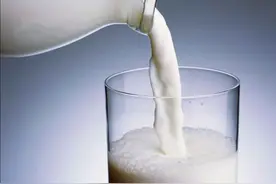 牛奶中全是防腐剂，不仅有毒还致癌？3种“假牛奶”才真的要少喝图片
