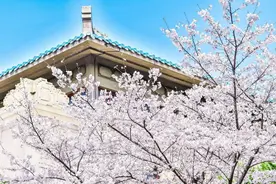 “荆楚春三月 百花遍地开”，又到一年赏花时图片