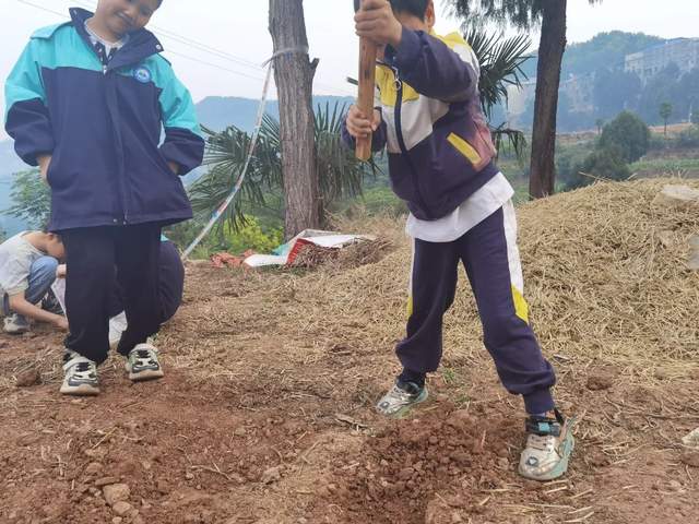 四川省民生研究会新媒体中心-官网