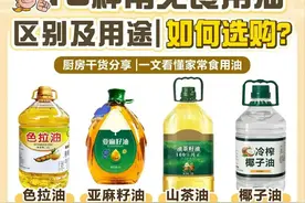 科普：各种食用油的区别和用途——供参考图片