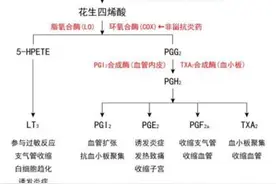 药用脂质：阿司匹林和布洛芬图片
