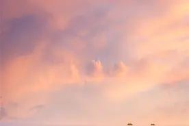 即日起，免票！图片