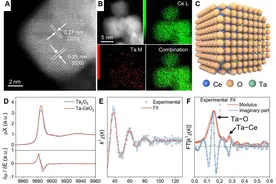 大连化物所王峰团队Joule：光催化生物质制氢新策略图片