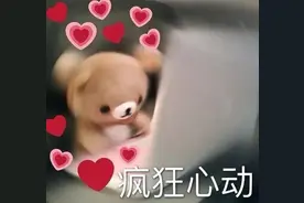 幽默撩妹表情包｜疯狂心动图片