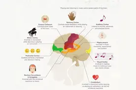 学钢琴真的有助于大脑开发吗？图片