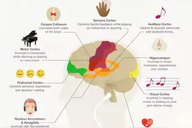 学钢琴真的有助于大脑开发吗？图片