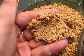 钓鱼忽然停口，到底是什么原因？真的是饵料不对路吗？图片