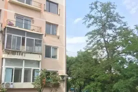 这鸭子要火！步行3公里，还有十几人护送图片