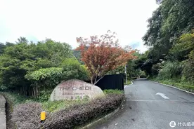 9K多一晚的宁海安岚，是睡了个寂寞么？图片