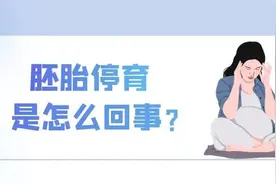 胚胎停育是怎么回事？图片