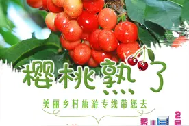 郑州2023第十七届“樱桃文化节”即将开始，郑州公交开通“樱桃沟专线”，给市民乘客提供温馨便利的出行服务图片