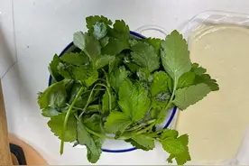 不是抗病毒药，家常野菜鬼针草做面放一点，清热解毒抗病毒，来碗图片