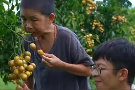 广西农村大网红康仔农人背后的感人故事，北海疫情期间捐大量物资图片