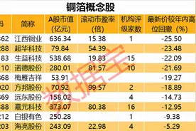 「机构风向标」新能源巨头锁定锂电铜箔龙头产能！近一周机构热评化工、机械、电子板块（附股）图片