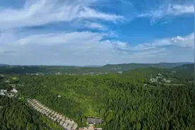 【历史文化】走进翠云廊 古树平均年龄1000岁丨每个剑阁人都是古树守护人图片