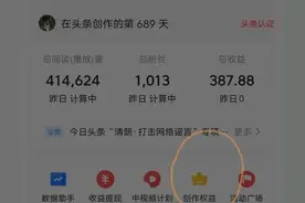 在今日头条上，我开通了赞赏功能，目前收益387.88图片