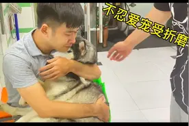 狗狗每天都被病痛折磨，主人决定给它安乐死，离别前抱着它痛哭图片