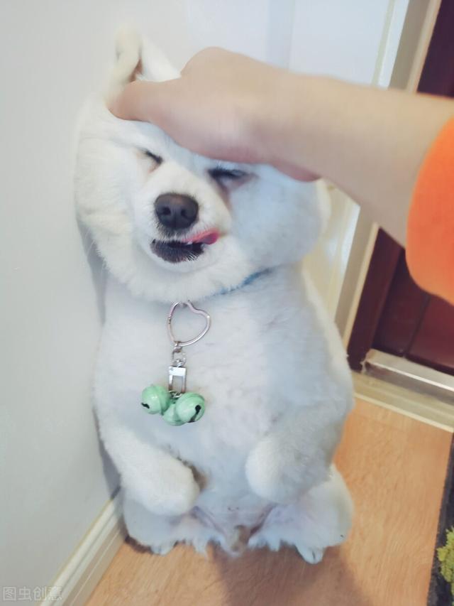 抹了身体乳可以亲吻吗