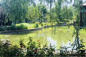 永远会怀念2018年的夏天图片