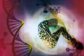 亚洲狮和非洲狮能杂交产生后代，为何亚洲象和非洲象就不行？图片