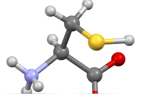 肽链之间的桥梁——半胱氨酸图片