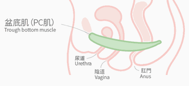 妹妹的“松紧”跟经常嘿嘿嘿有关系吗？