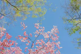 不联系就是不喜欢的星座，超级直接，不会欲擒故纵图片