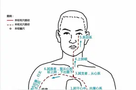心经，心包经淤堵引起的心脏疾病，中医怎样诊断治疗？图片