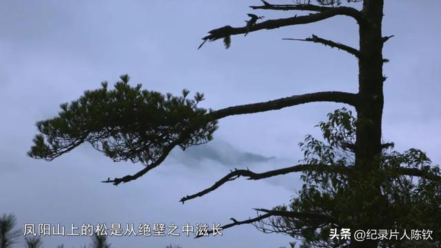 爱奇艺热播：《大美江南》绘就江南山水的诗意长卷