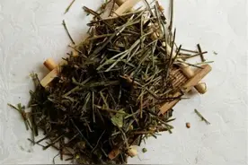 中医治疗慢性肾衰竭（湿热血瘀）验方1首，清热利湿、活血化瘀图片